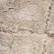 Nourison Dreamy Shag DRS09 Shag Indoor Rug