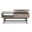 Magnussen Home Fenwick Whitetail Brown And Smoke Glass Rectangular Lift Top Cocktail Table
