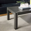 Arteriors Hidalgo Coffee Table Clearance