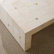 Arteriors Madelyn Coffee Table