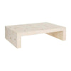 Arteriors Madelyn Coffee Table