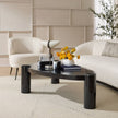 Arteriors Champlain Coffee Table