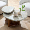 Arteriors Forney Coffee Table