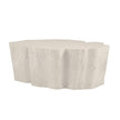 Arteriors Meramec Outdoor Coffee Table