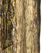 Arteriors Minerva Accent Table