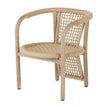 Arteriors Chapman Outdoor Dining Chair