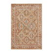 Nourison Sahar SHR01 Vintage Indoor Rug
