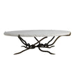 Arteriors Muscadine Coffee Table