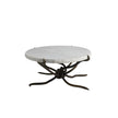 Arteriors Muscadine Coffee Table