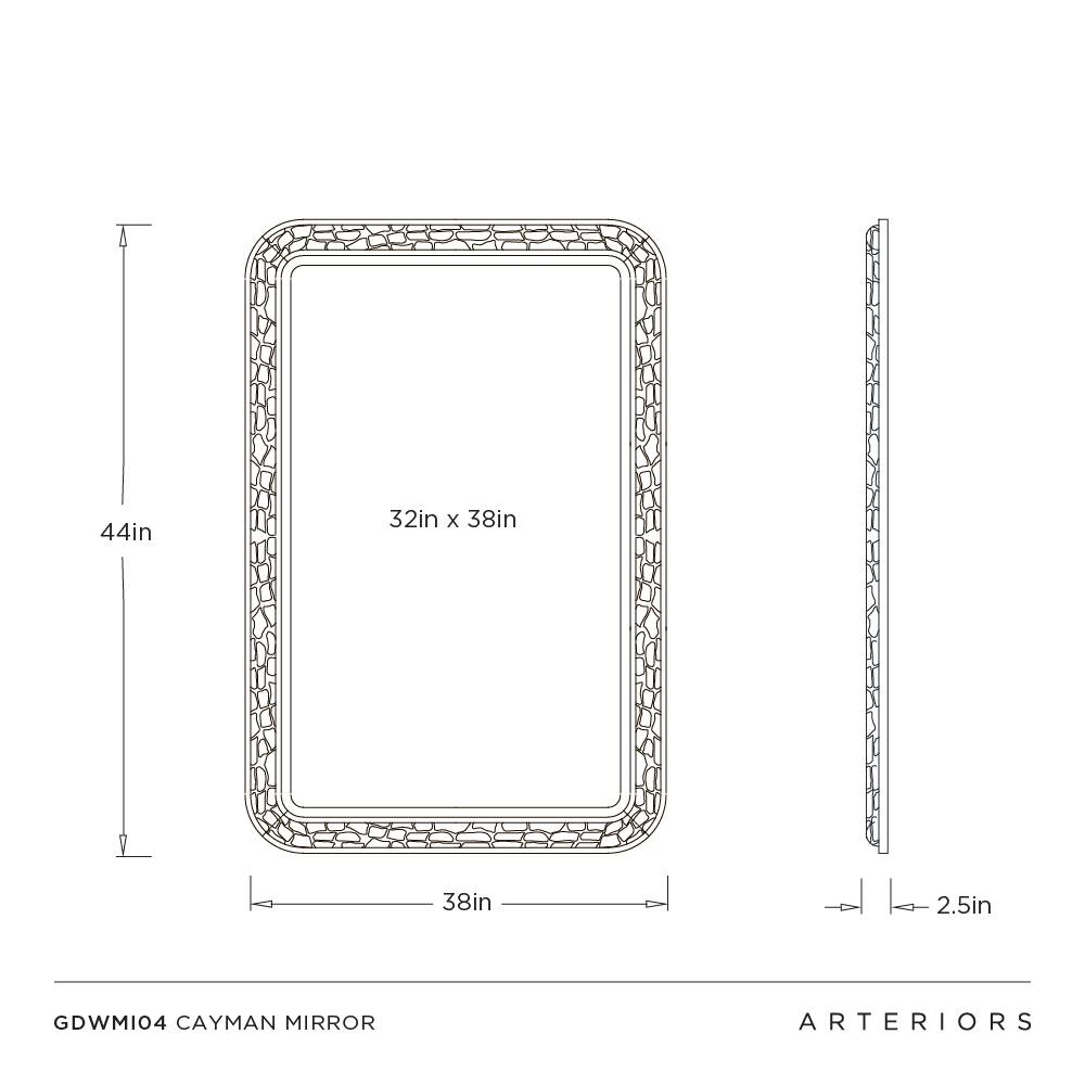 Arteriors Cayman Mirror