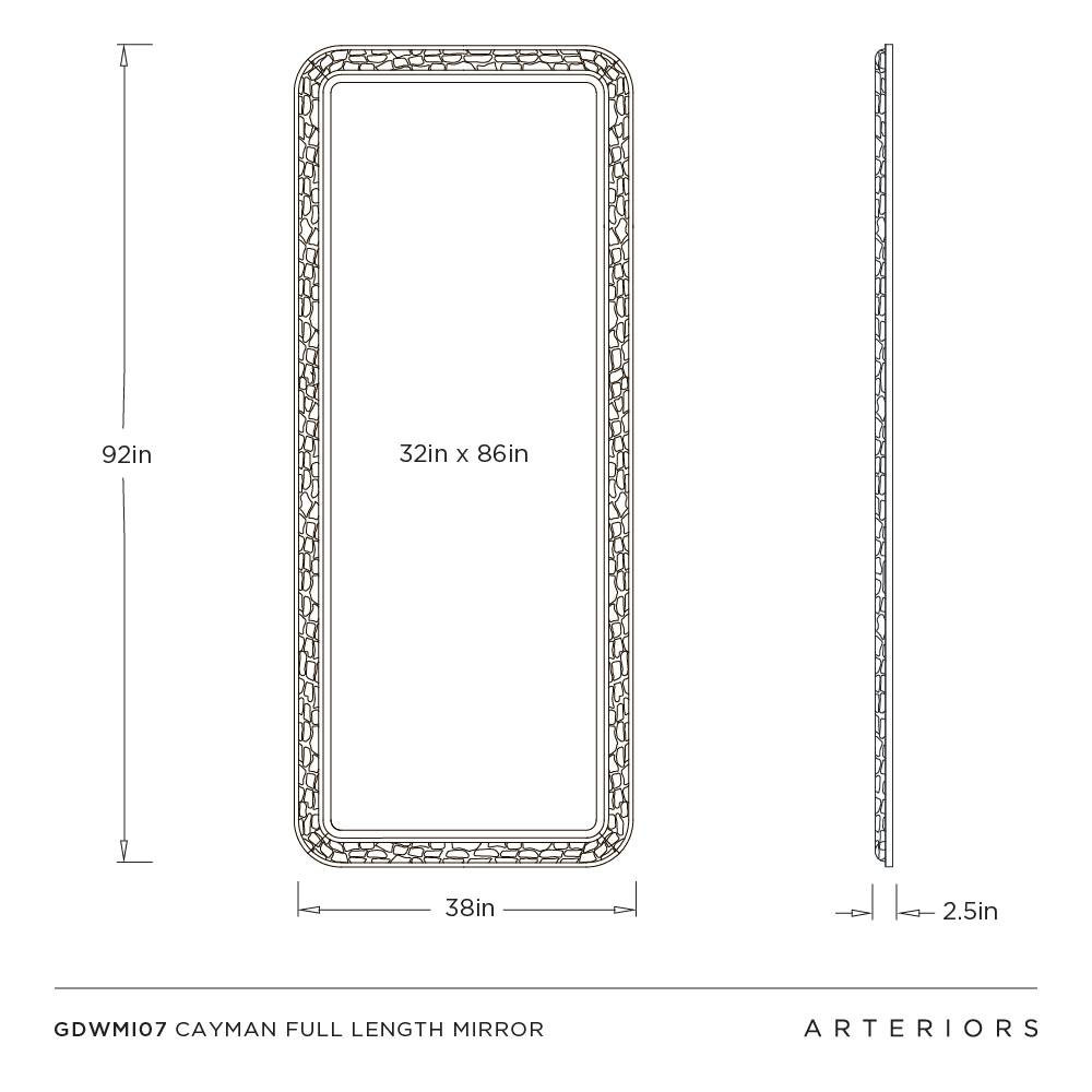 Arteriors Cayman Mirror