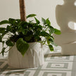 Arteriors Feather Centerpiece Clearance