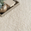 Nourison Dreamy Shag DRS05 Shag Indoor Rug