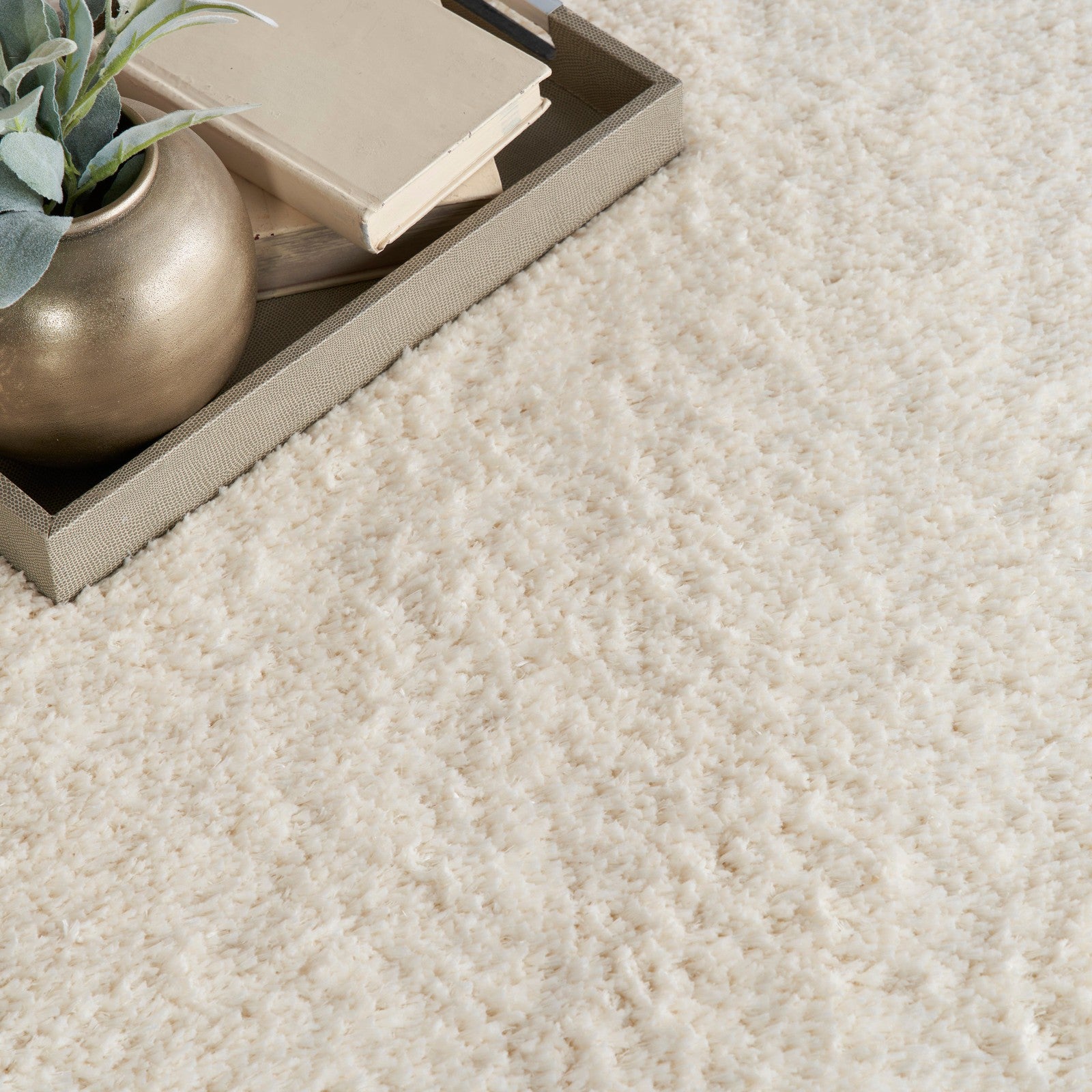 Nourison Dreamy Shag DRS05 Shag Indoor Rug