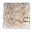 Nourison Dreamy Shag DRS09 Shag Indoor Rug