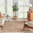 Nourison Sahar SHR01 Vintage Indoor Rug