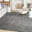 Nourison Dreamy Shag DRS03 Shag Indoor Rug