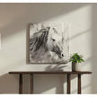 BMC Meg Canvas Art