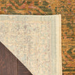 Nourison Luxurious LRS01 Vintage Indoor Rug