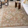 Nourison Sahar SHR01 Vintage Indoor Rug