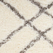 Nourison Dreamy Shag DRS07 Shag Indoor Rug