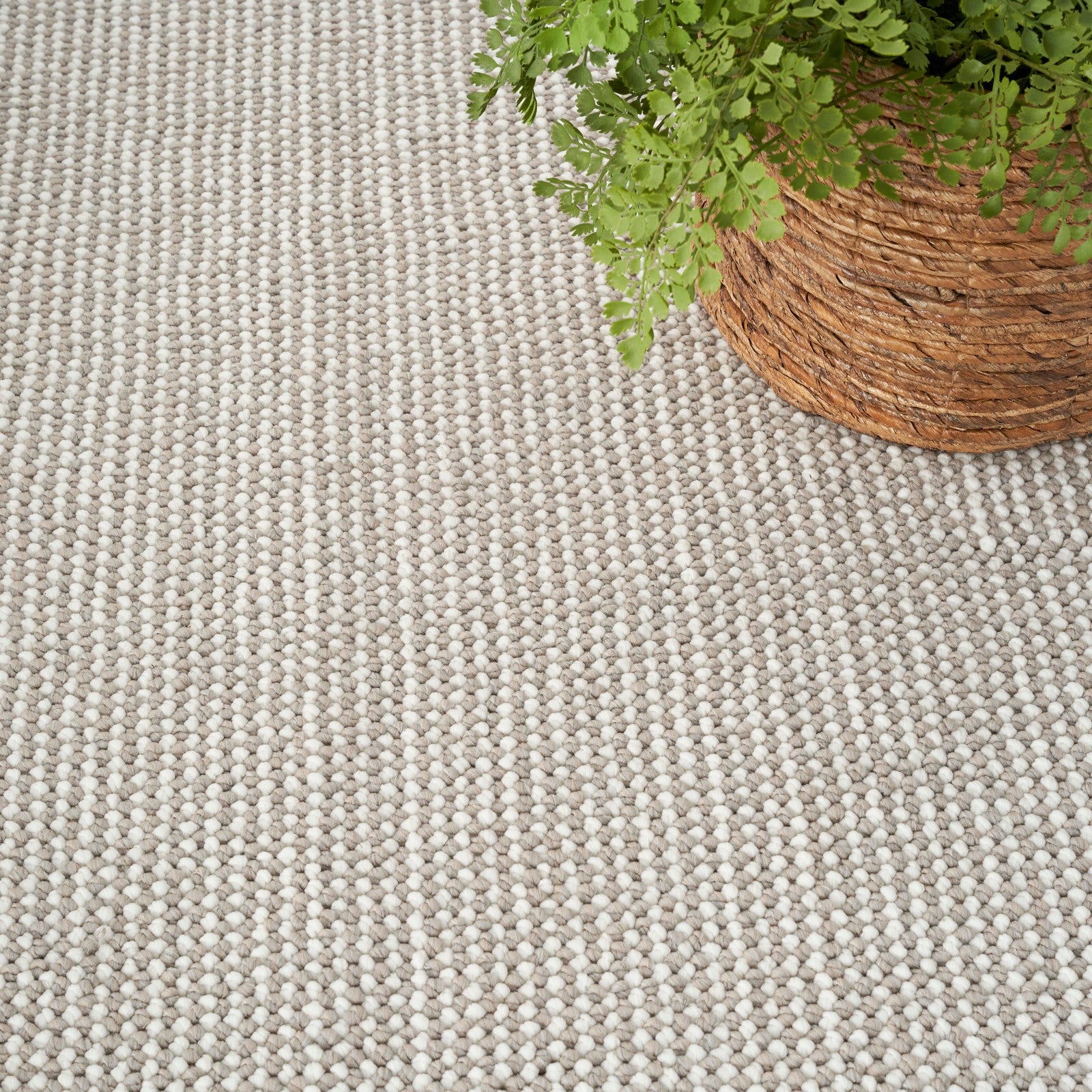 Nourison Natural Texture NTX01 Farmhouse Indoor Rug
