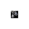 Schonbek La Scala 5075 Chandelier