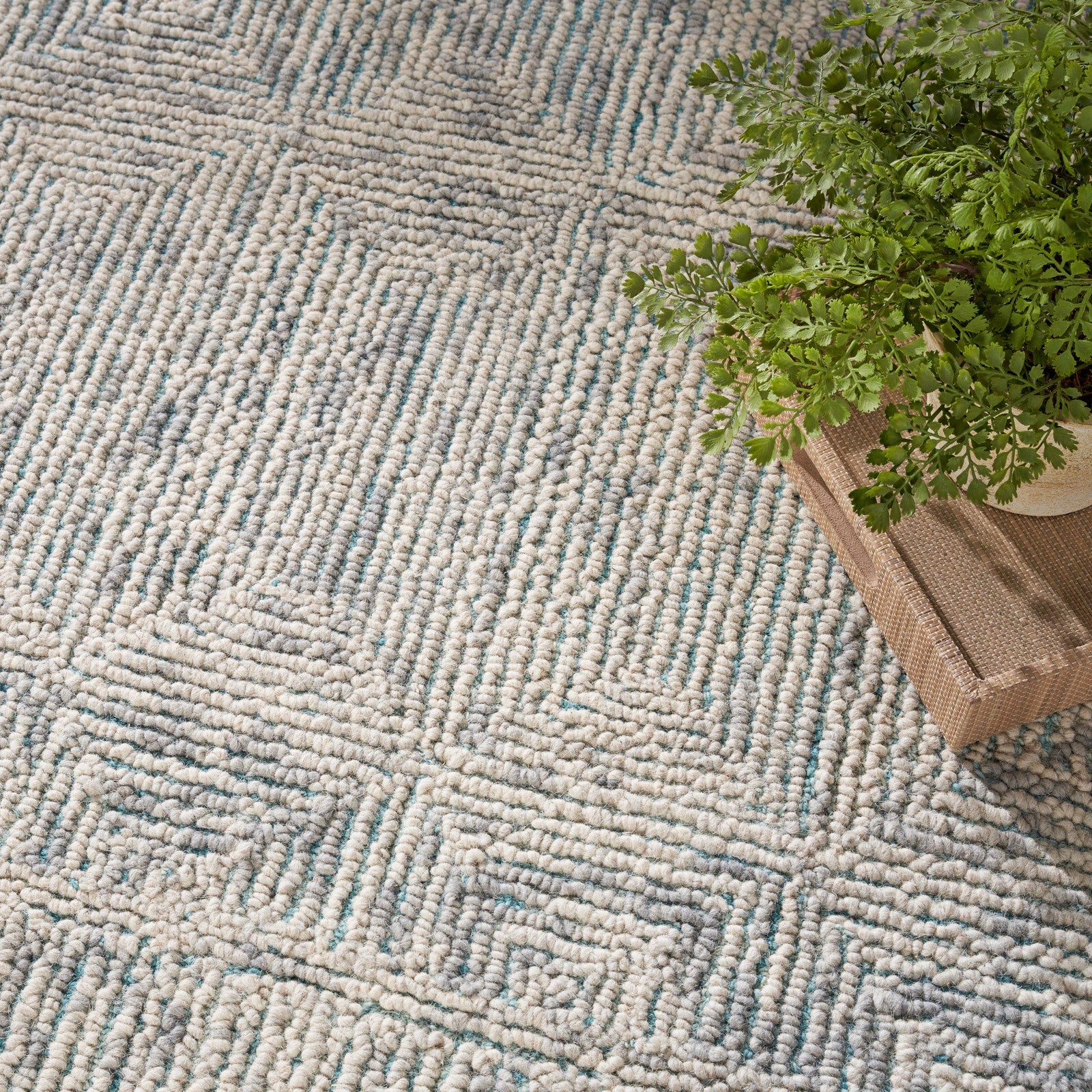 Nourison Colorado CLR04 Modern Indoor Rug