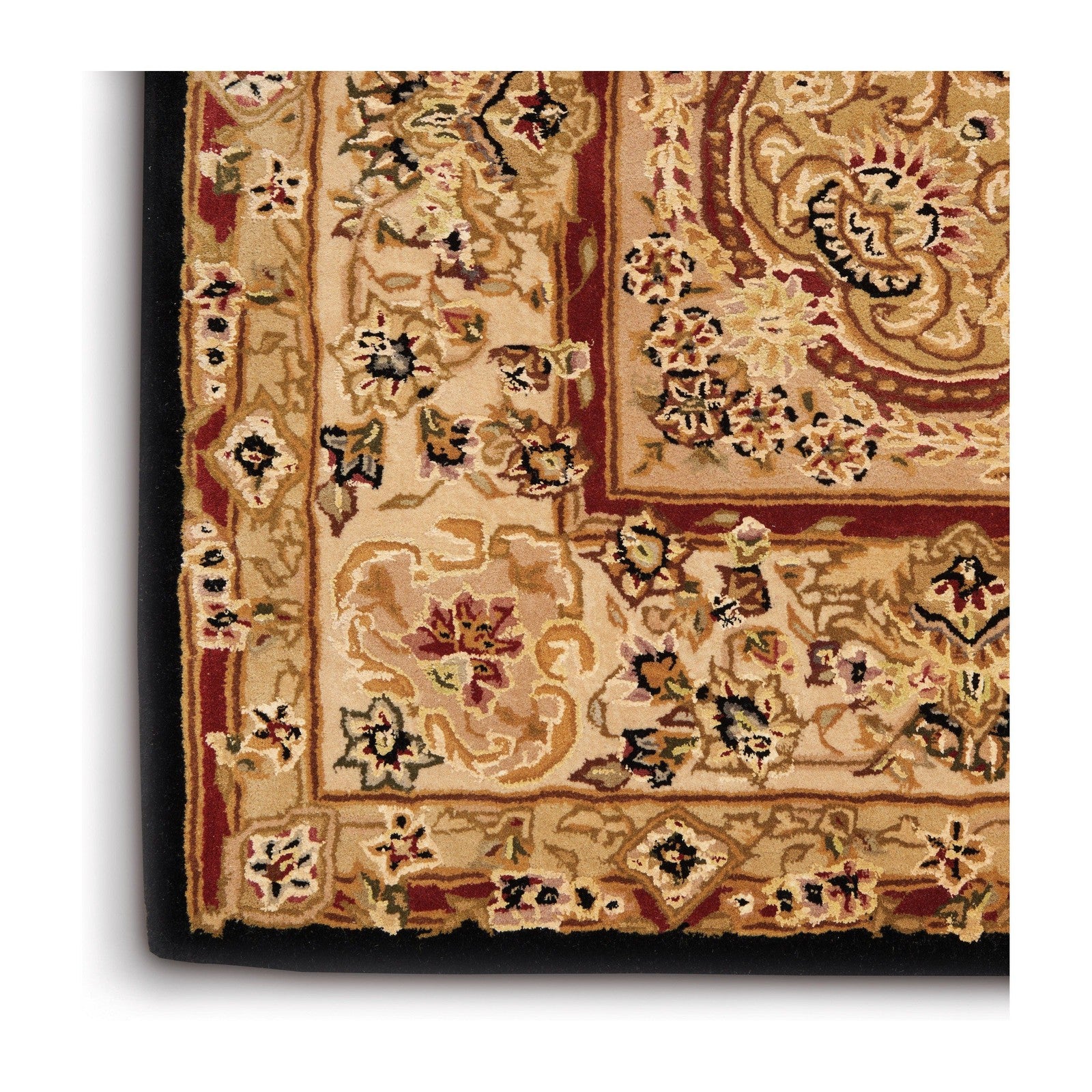 Nourison 2000 2028 Traditional Indoor Rug