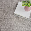 Nourison Dreamy Shag DRS05 Shag Indoor Rug