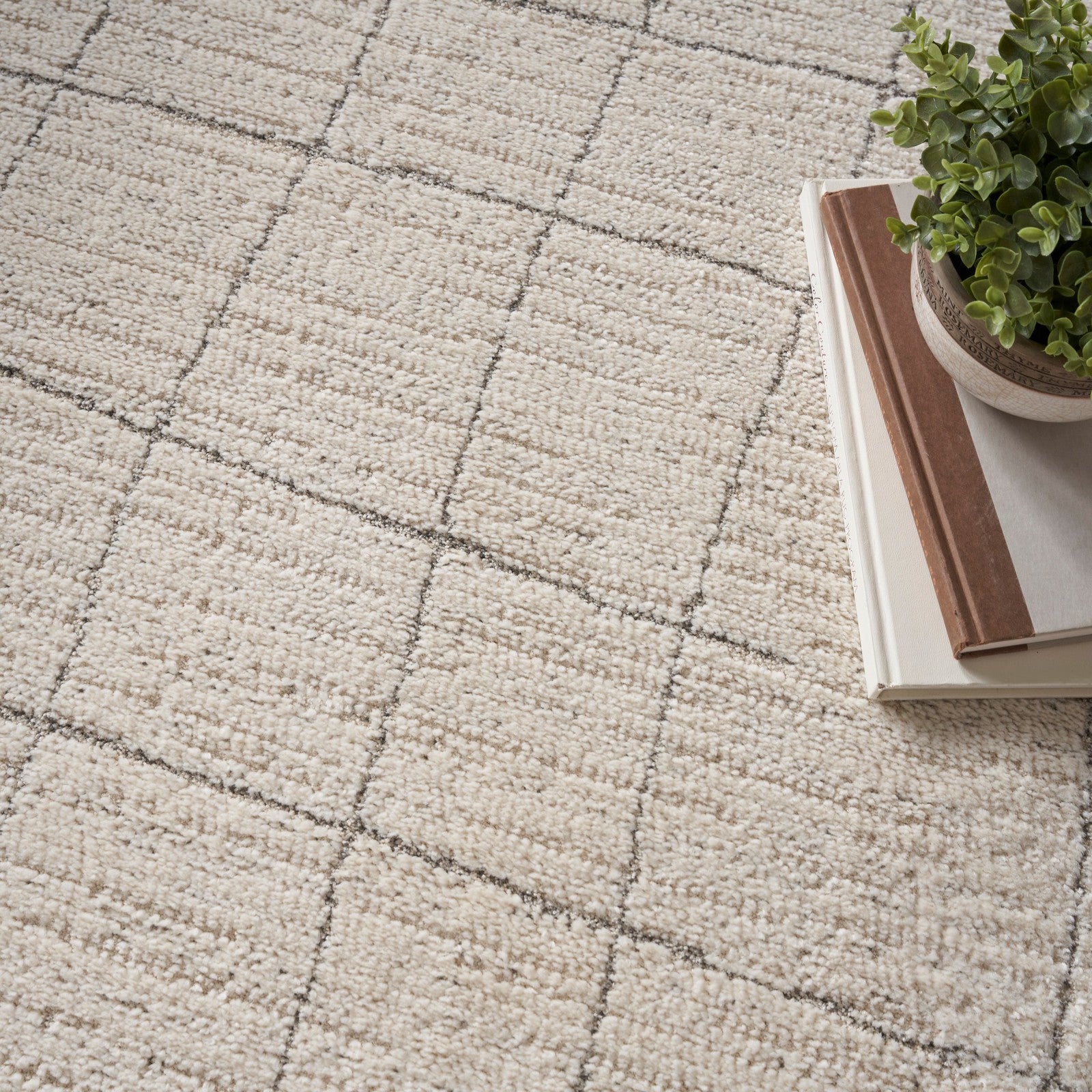 Nourison Andes AND04 Scandinavian Indoor Rug