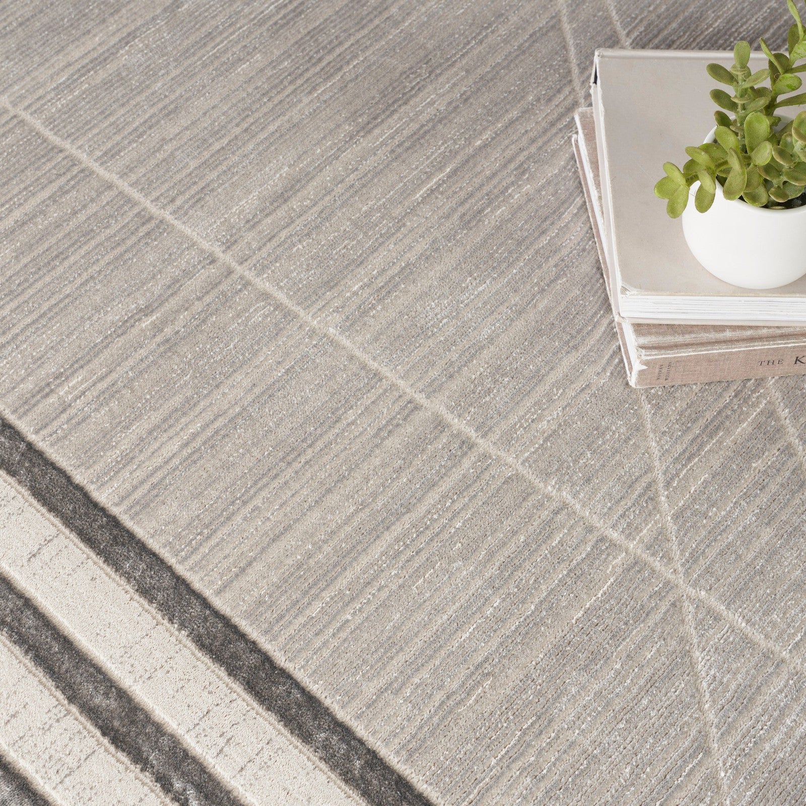 Nourison Desire DSR01 Modern Indoor Rug