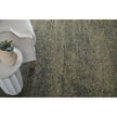 Feizy Jameson 39R8F Modern Distressed Rug