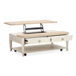 Salt Life Home Echo Isles Sea Pearl and Driftwood Lift Top Storage Cocktail Table with Casters