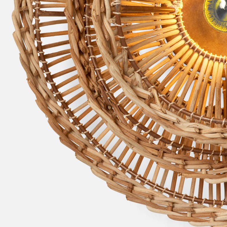 Alondra Floral Abstraction Wall Sconce