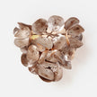 Made Goods Venus Wall Sconce
