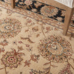 Nourison 2000 2207 Traditional Indoor Rug