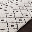 Livabliss by Surya MCS-2309 Moroccan Shag Rug