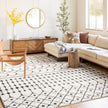 Livabliss by Surya MCS-2309 Moroccan Shag Rug