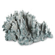Regina Andrew Coral Art Piece