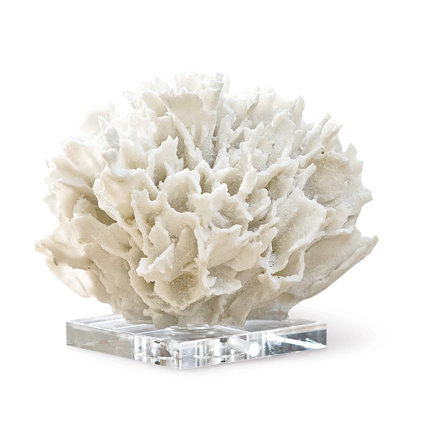 Regina Andrew Ribbon Coral