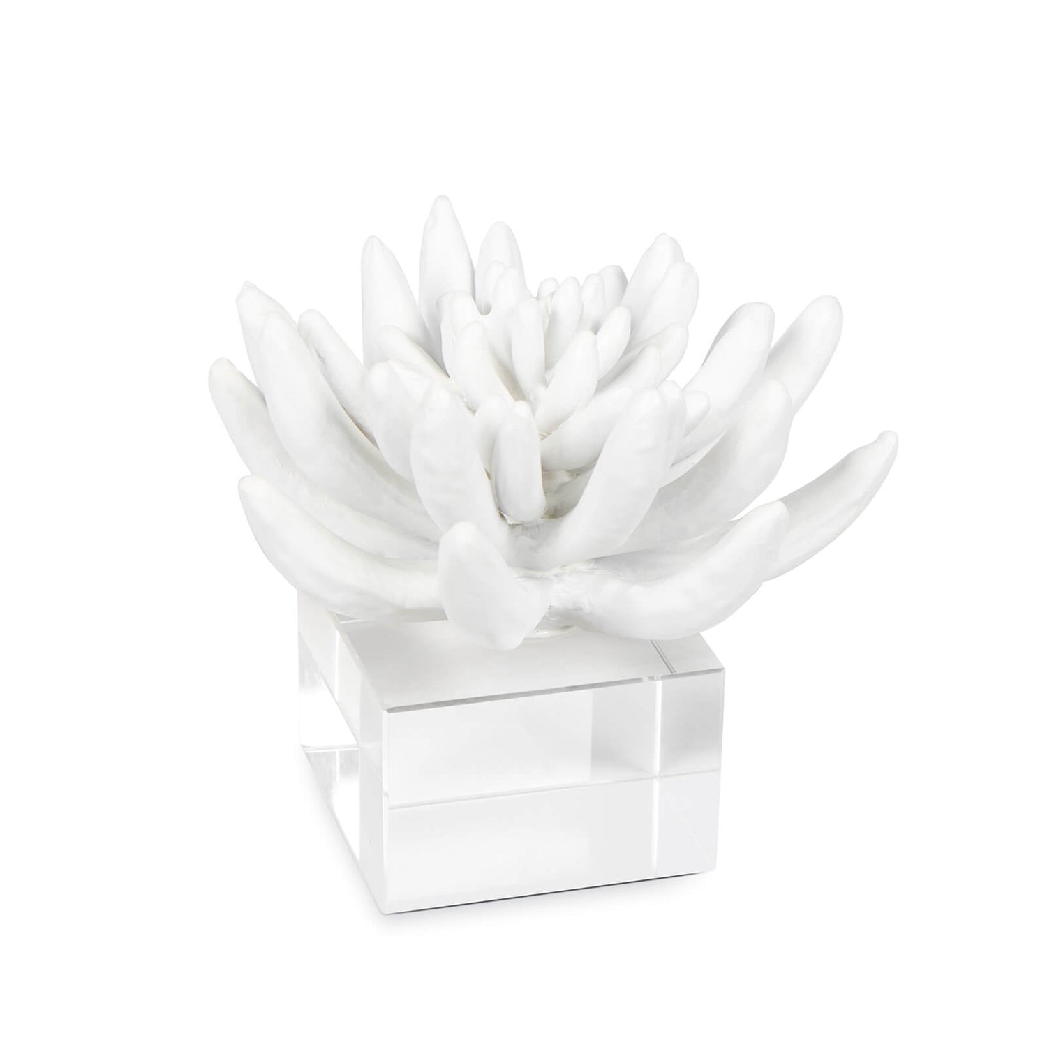 Regina Andrew Succulent Resin Sculpture