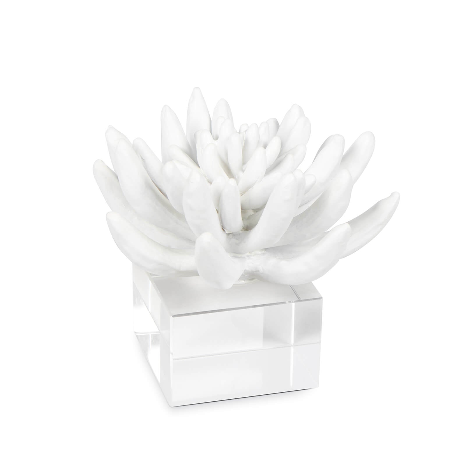 Regina Andrew Succulent Resin Sculpture