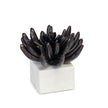 Regina Andrew Succulent Sculpture