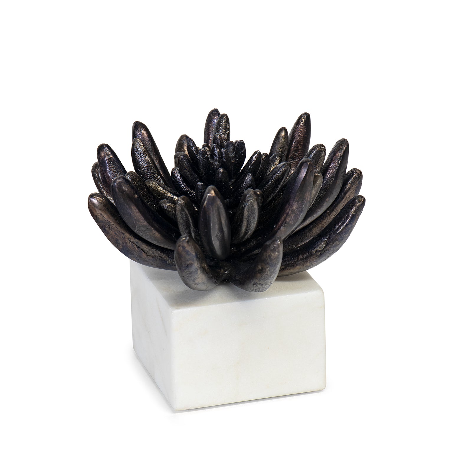 Regina Andrew Succulent Sculpture