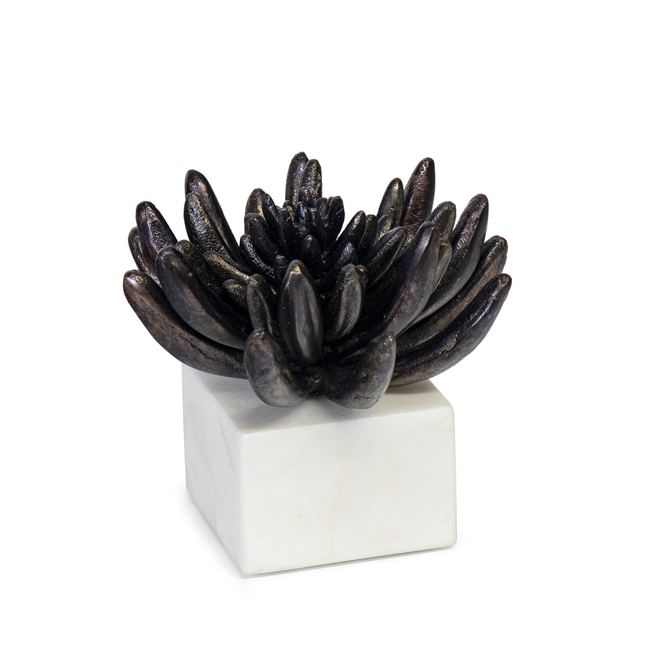 Regina Andrew Succulent Sculpture