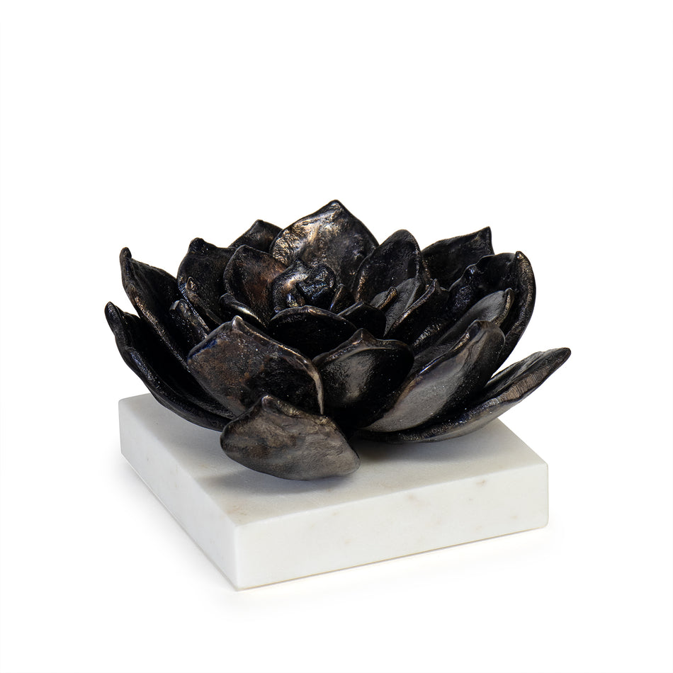 Regina Andrew Succulent Sculpture