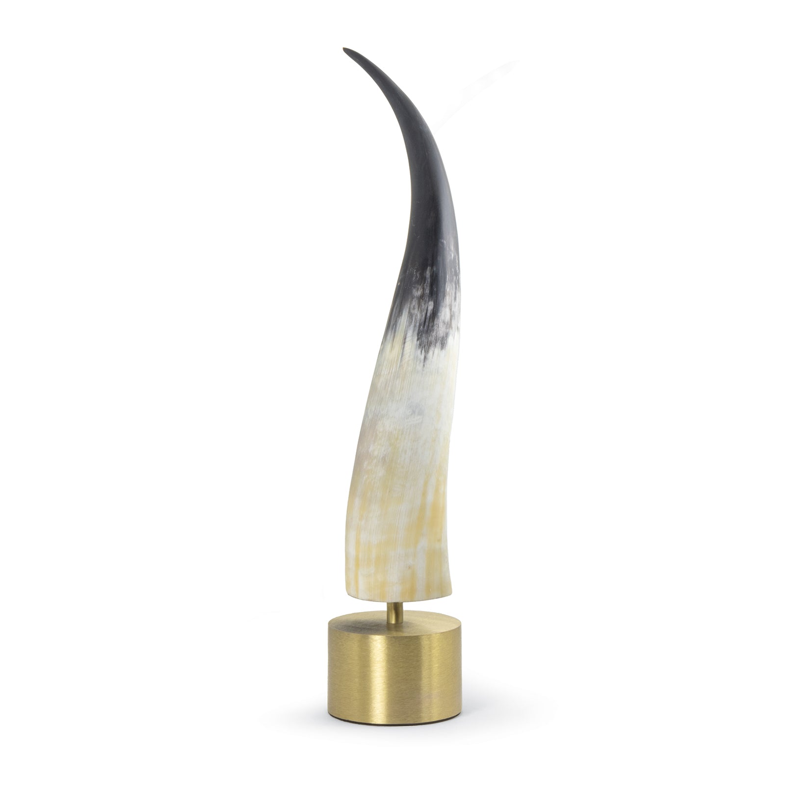 Regina Andrew Daylon Horn