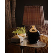 Giorgio Black Natural Brass Glass Mini Lamp