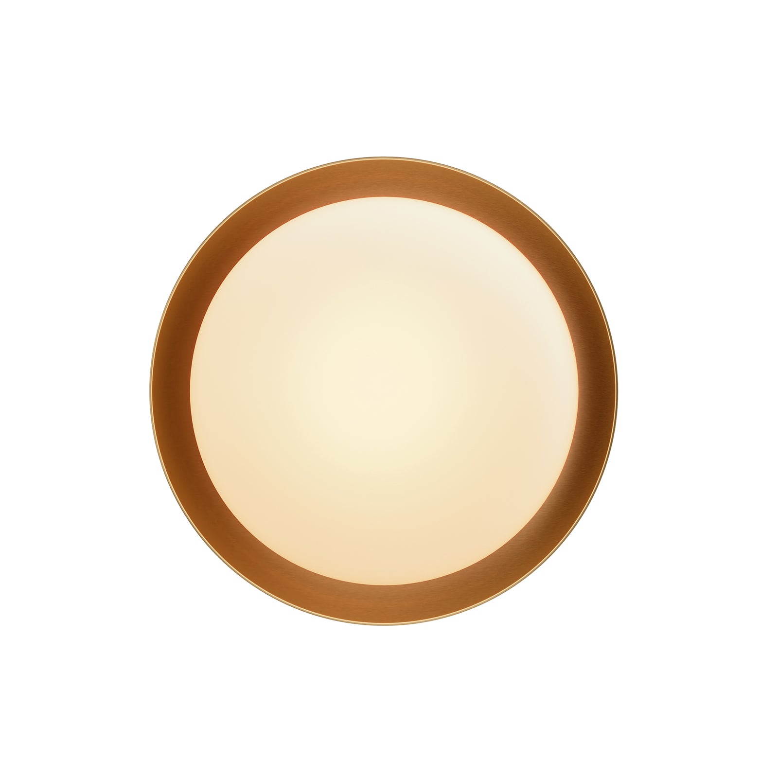 Bond Sconce Single